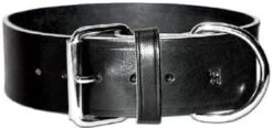 OmniPetLatigoLeatherLead2inBlk