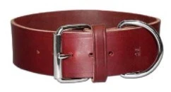 OmniPetLatigoLeatherLead2inBlu