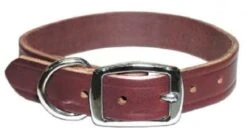 OmniPetLatigoLeatherLead1inBlu