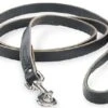 OmniPetLatigoLead3/8inx6ftBlck