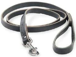 OmniPetLatigoLead3/4inx6ftBlck
