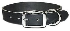 OmniPetLatigoLeather1inBlack