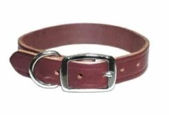 OmniPetLatigoLeather1inBlue