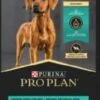 ProPlan C&R Lg Brd Puppy 34lbs