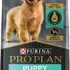 ProPlan ShredCk&Ricepup34lbs