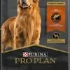 ProPlan Salmon & Rice 33lbs