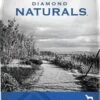 Diamond Beef & Rice 40lbs