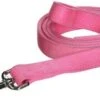 CoastalTrainingLead1inx6ftPink