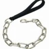 CoastalGintChainLeash10mmx30in