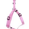 Coastal AdjHarness 16-24inPink