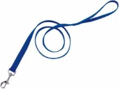 Coastal DogLead 1inx4ft Blue