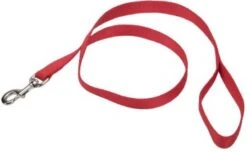 Coastal Lead 1in X 6ft Red