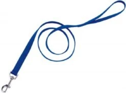 Coastal Lead 1in X 6ft Blue