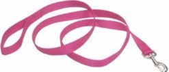 Coastal Leash 1in X 6ft Pink