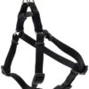 Coastal AdjHarness 16-24in Blk