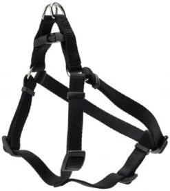 Coastal AdjHarness 16-24in Blk