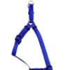 Coastal Harness 16-24in Blue