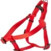 Coastal AdjHarness 16-24in Red