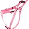 Coastal Harness 20-30in Pink