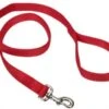 Coastal Training Lead 6ft Red