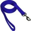 Coastal Training Lead 6ft Blue