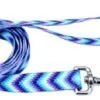 Coastal Dog Leash 3/8in X 6ft