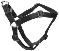 CoastalAdj Harness26-38inBlack