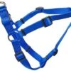 Coastal AdjHarness 26-38inBlu