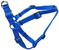 Coastal AdjHarness 26-38inBlu