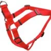 Coastal Adj Harness26-38in Red