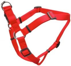 Coastal Adj Harness26-38in Red