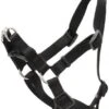 Coastal Harness 20-30in Black