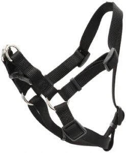 Coastal Harness 20-30in Black