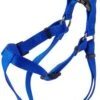 Coastal Harness 20-30in Blue