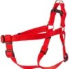 Coastal Harness 20-30in Red