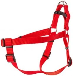 Coastal Harness 20-30in Red