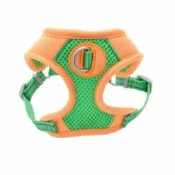 CoastalReflectHarnessSmLimeOrg