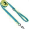 CoastalReflctLeash1x6ftAquaYlw