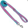 CoastalReflectLeash 6ft Fuscia