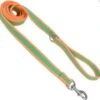 CoastalReflectLeash1inx6ftLime