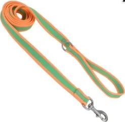 CoastalReflectLeash1inx6ftLime