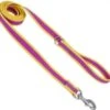 CoastalReflectLeash1x6ftPurple