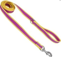 CoastalReflectLeash1x6ftPurple