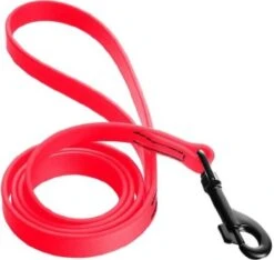 CoastalWaterproofLeash1in X6ft