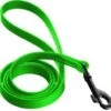 CoastalWaterprfLeash 1in X6ft