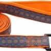 Coastal CoastaNeoprenLeash5/8inx6ftBlu