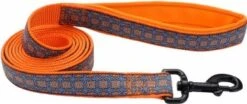 Coastal CoastaNeoprenLeash5/8inx6ftBlu
