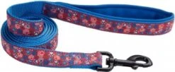 CoastalNeoprenLeash5/8inx6ftRd