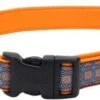 CoastalNeoprnColar5/8inx8-12in