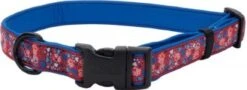 Coastal CoastlNeopreneCollar5/8x8-12In